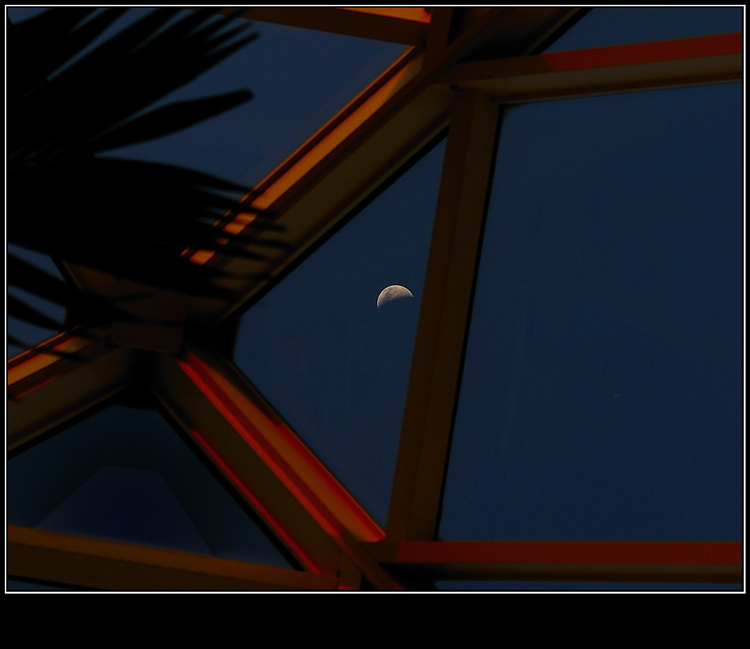 Photography by margold for DesignCrowd (Community Contests) | Design #8940307