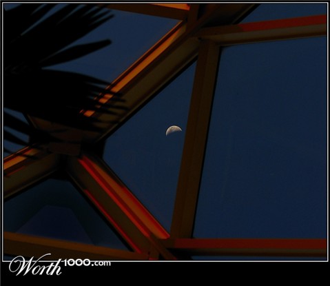 Photography by margold