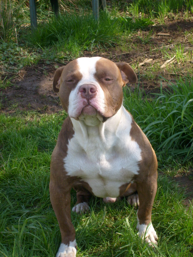 Photography by billbartlett for DesignCrowd (Community Contests) | Design #8936171