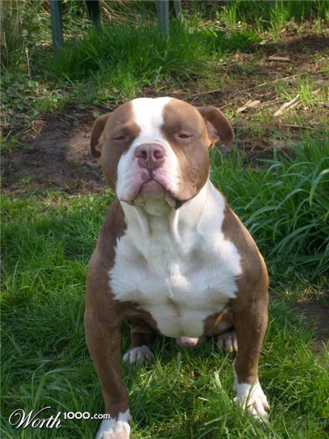 Photography by billbartlett