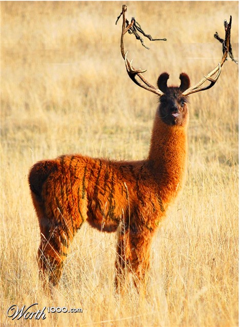 Photoshop Design by DeathMerchant