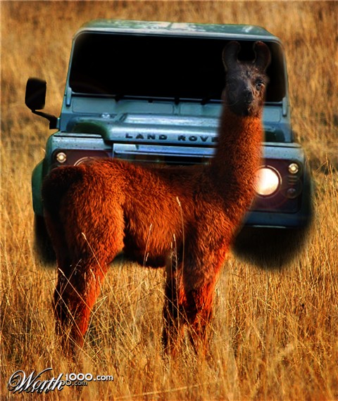 Photoshop Design by Jez459