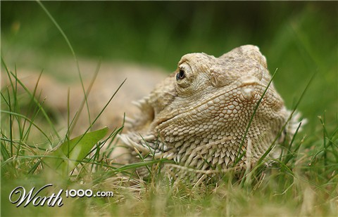 Photography by crouchy28