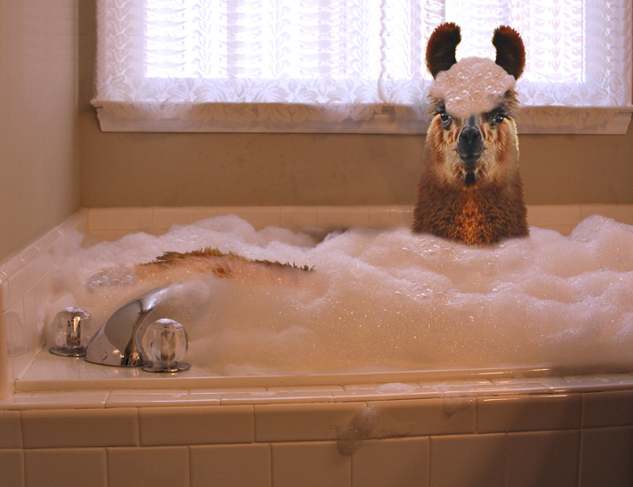 Diseño de Photoshop por snakebit para DesignCrowd (Community Contests) | Diseño #8941579