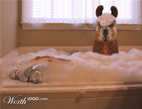 Photoshop Design by snakebit