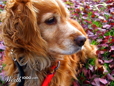 Photography by miriamsc