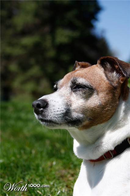 Photography by homelessguy