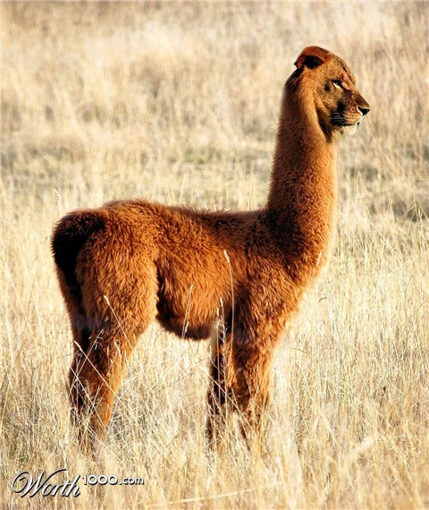 Photoshop Design by Robbyfromitaly