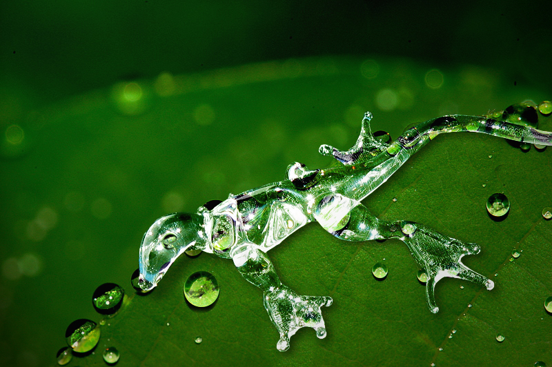 Photoshop Design by worldtraveler666 for DesignCrowd (Community Contests) | Design #8938542