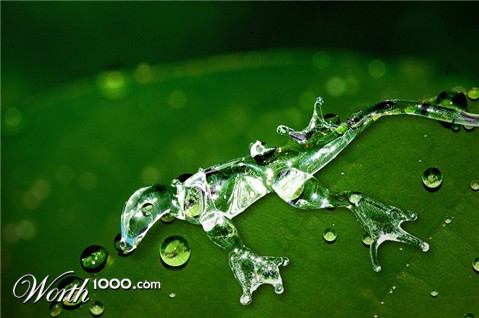 Photoshop Design by worldtraveler666