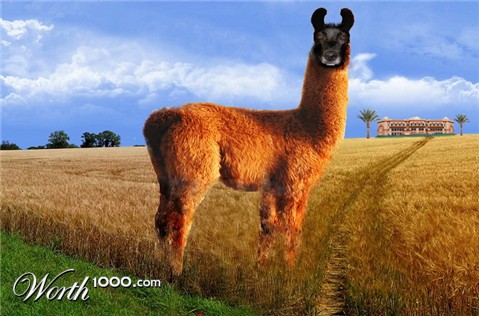 Photoshop Design by Dusan257