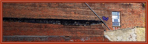 Photography by PulsisX