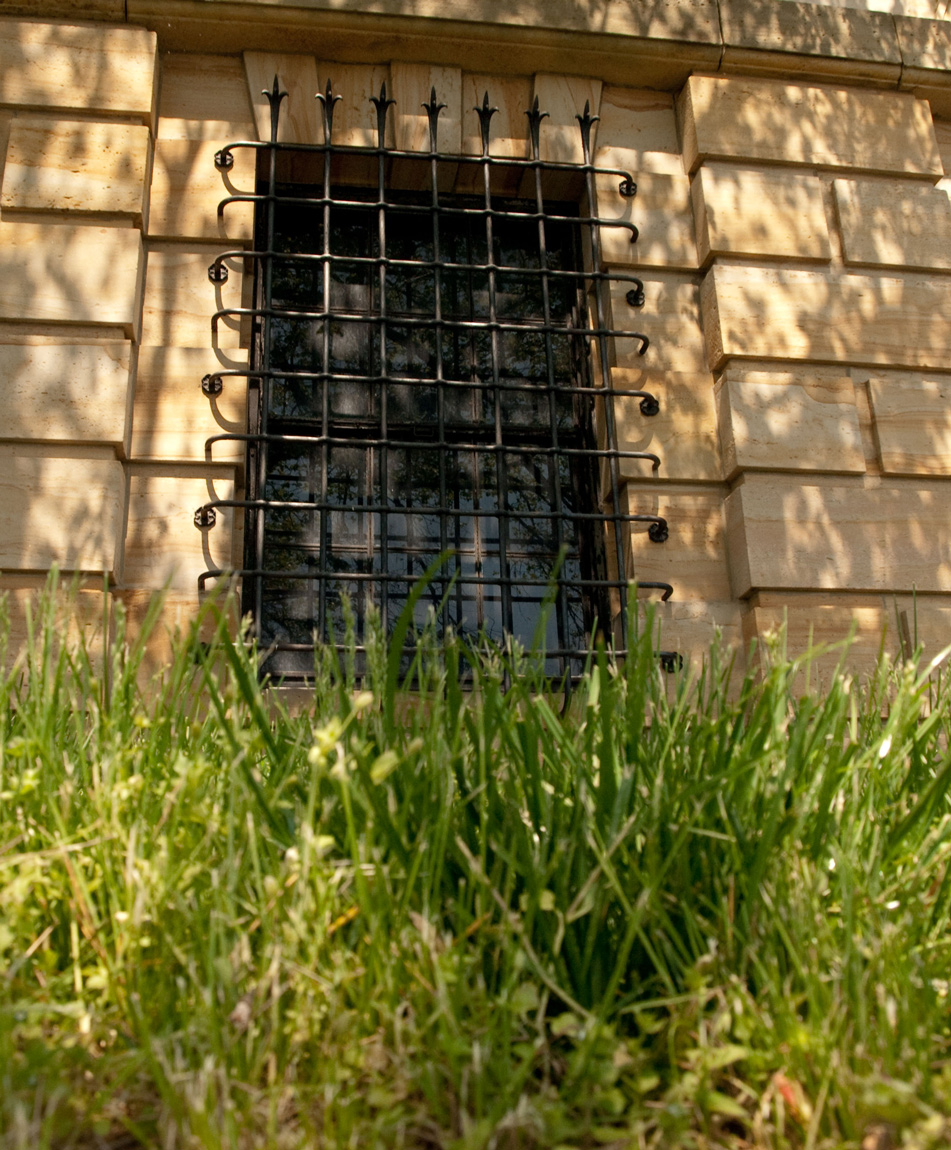 Fotografía por RickF413 para DesignCrowd (Community Contests) | Diseño #8940389