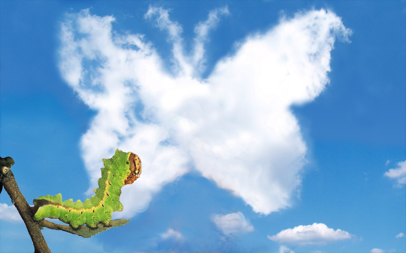 Photoshop Design by Takes2Hands2 for DesignCrowd (Community Contests) | Design #8938162