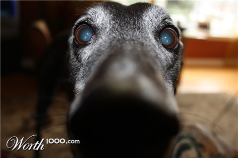 Photography by stever1234