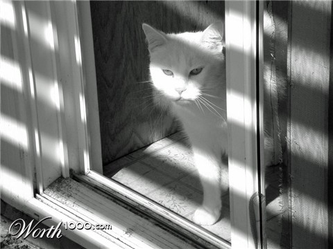 Photography by bestpicturesever