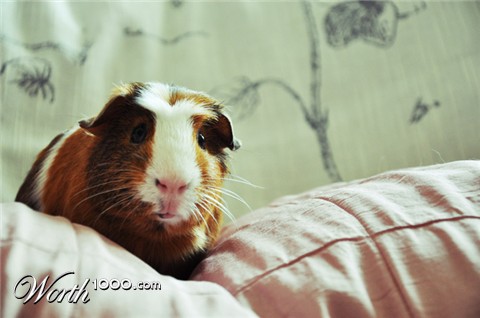 Photography by tomorrow7895