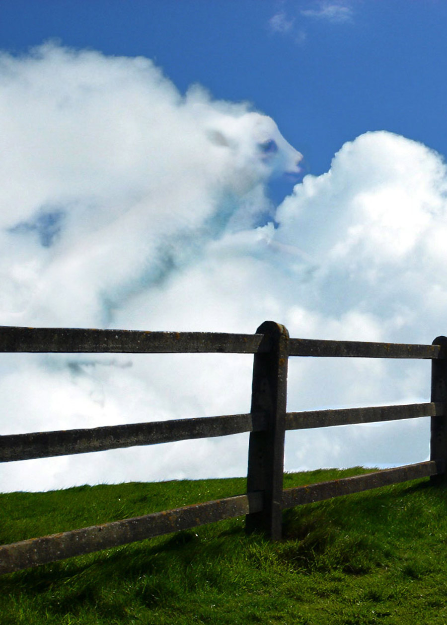 Diseño de Photoshop por castiza para DesignCrowd (Community Contests) | Diseño #8938237