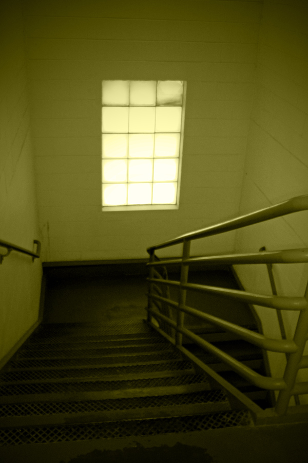 Photography by evitigre for DesignCrowd (Community Contests) | Design #8940577