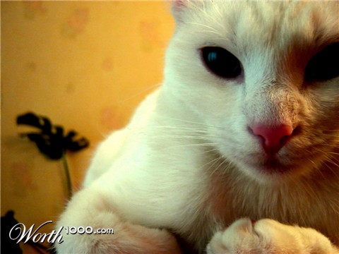 Photography by RobeMa