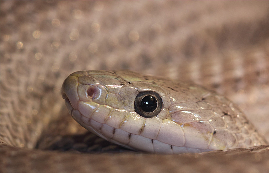 Photography by Rouwkema for DesignCrowd (Community Contests) | Design #8936263