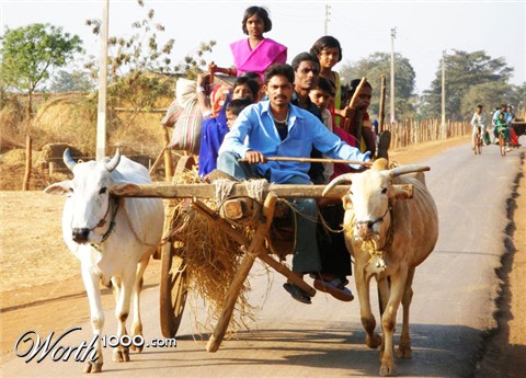 Photography by gurpreet1817