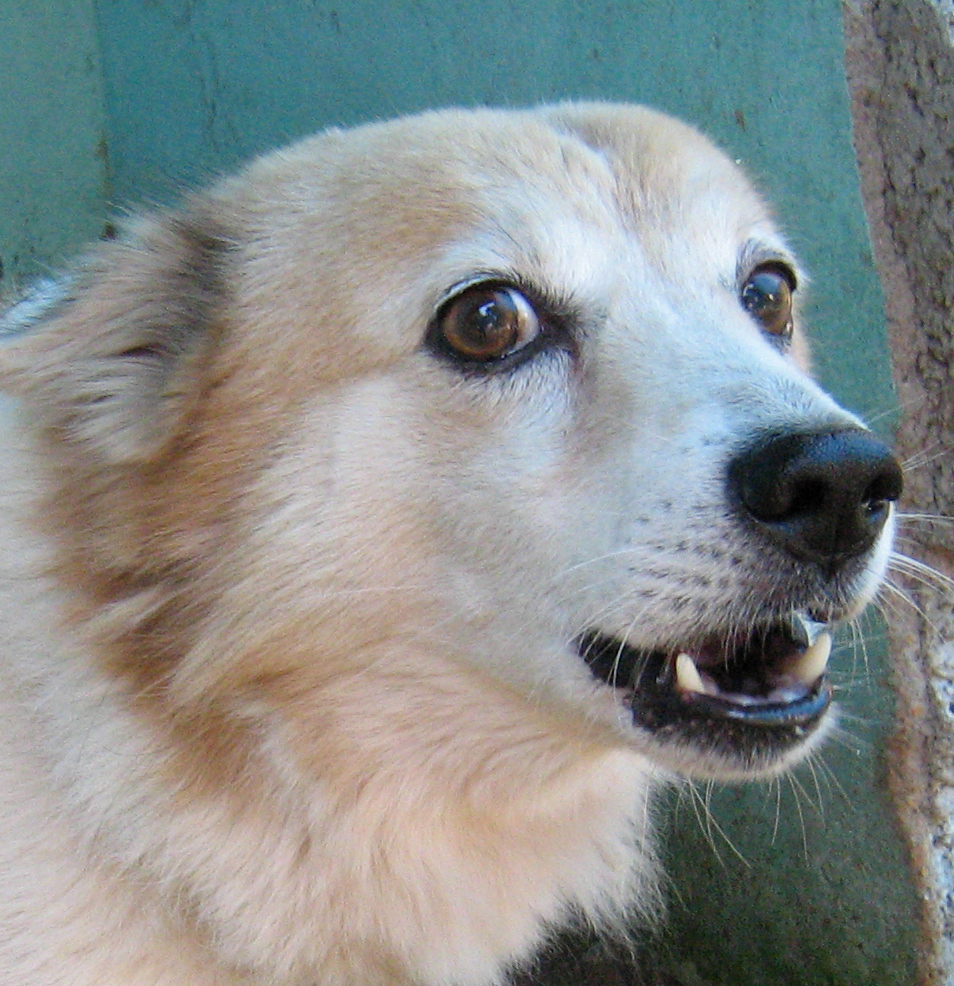 Photography by KUMAR44 for DesignCrowd (Community Contests) | Design #8936535