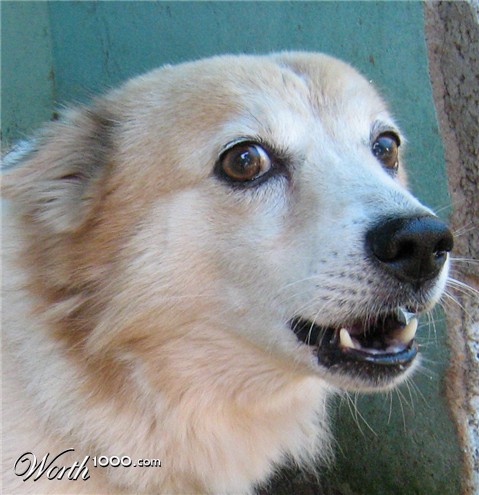 Photography by KUMAR44