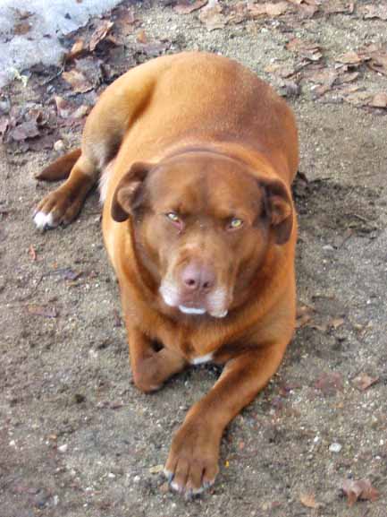 Photography by Shadizzle for DesignCrowd (Community Contests) | Design #8936556