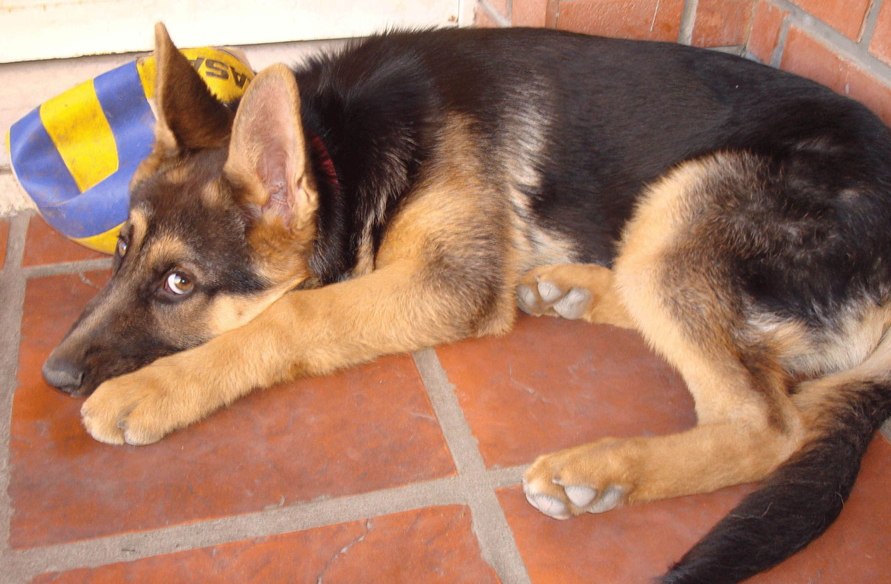 Photography by mauroabregu for DesignCrowd (Community Contests) | Design #8936474