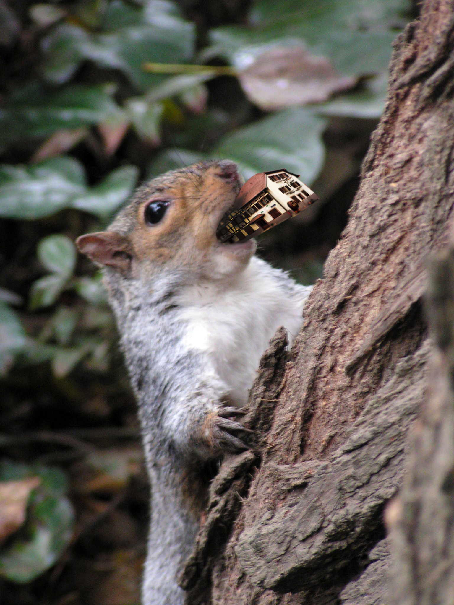 Photoshop-Design von Recolo für DesignCrowd (Community Contests) | Design #8942662