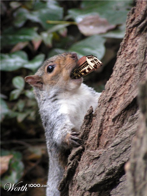 Photoshop Design by Recolo