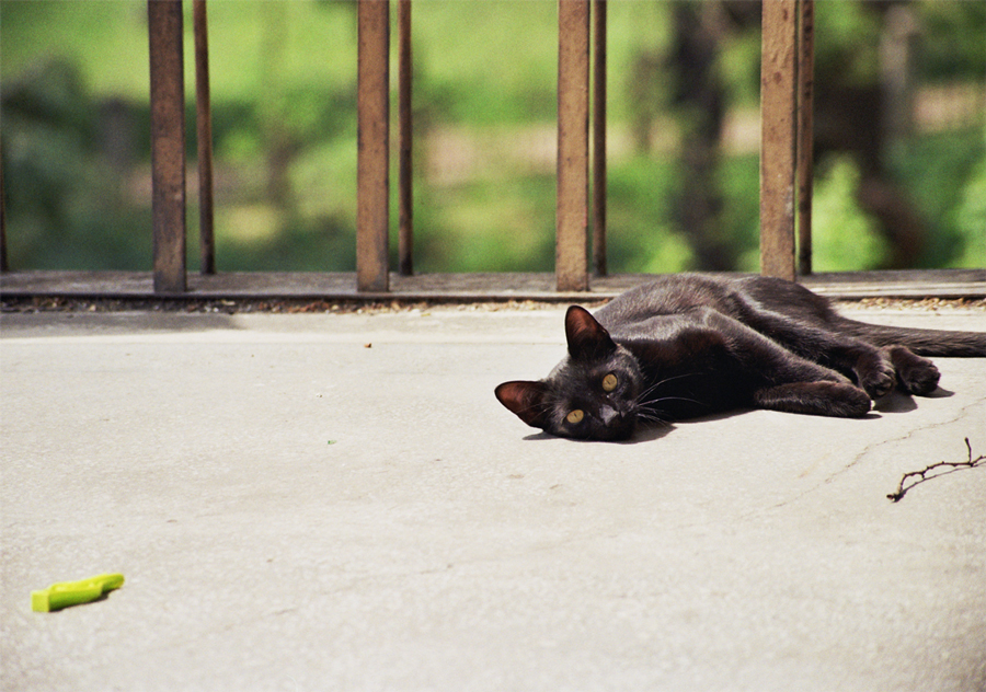 Photographie par nigiro pour DesignCrowd (Community Contests) | Design #8936366