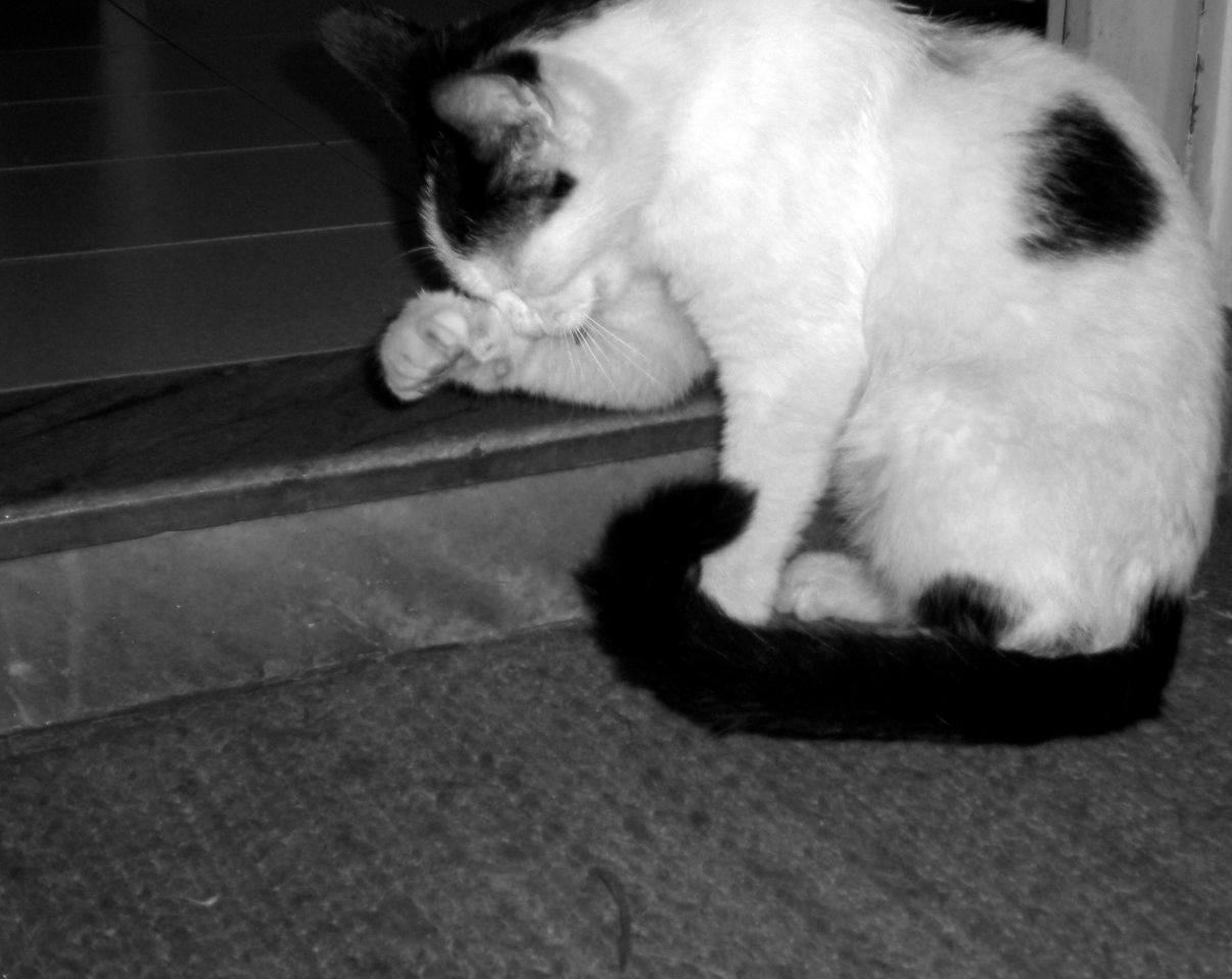 Photography by TRANSCENDENTalMAN for DesignCrowd (Community Contests) | Design #8936482