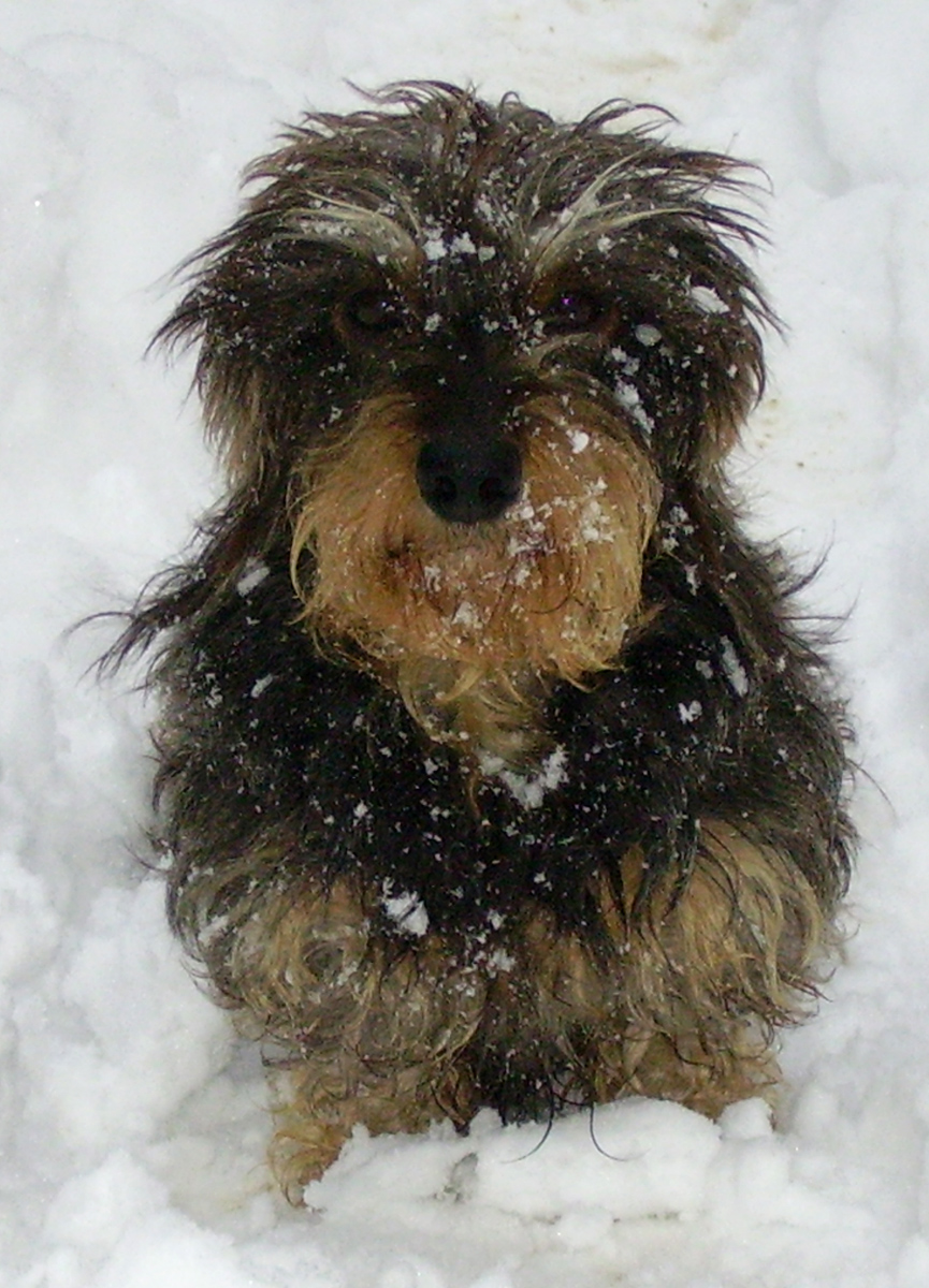 Photography by Karedas for DesignCrowd (Community Contests) | Design #8936435