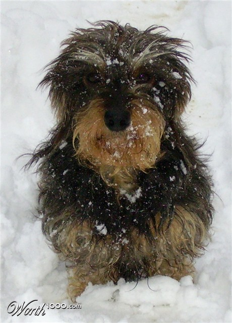 Photography by Karedas