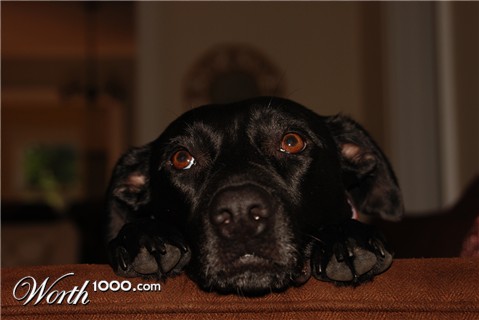 Photography by hull0699