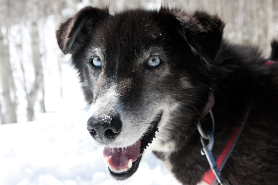 Photography by Oceanicy for DesignCrowd (Community Contests) | Design #8936609