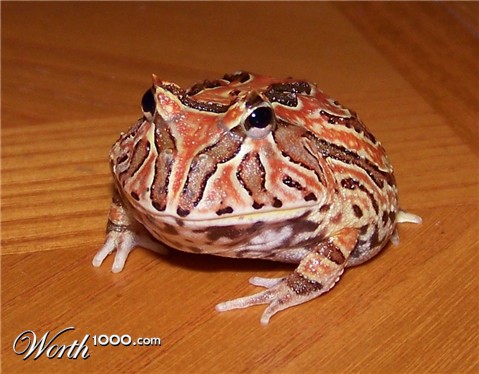 Photography by Mydonna