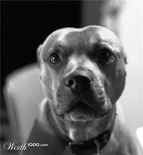 Photography by Iamnotworthy