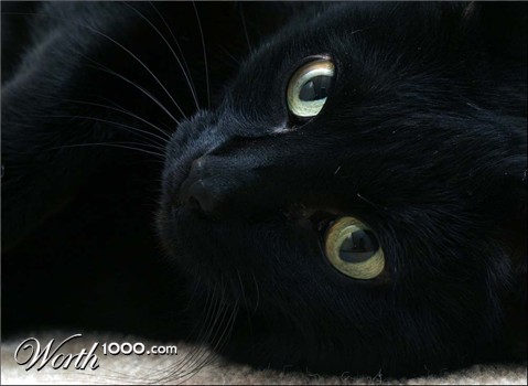 Photography by JJewell