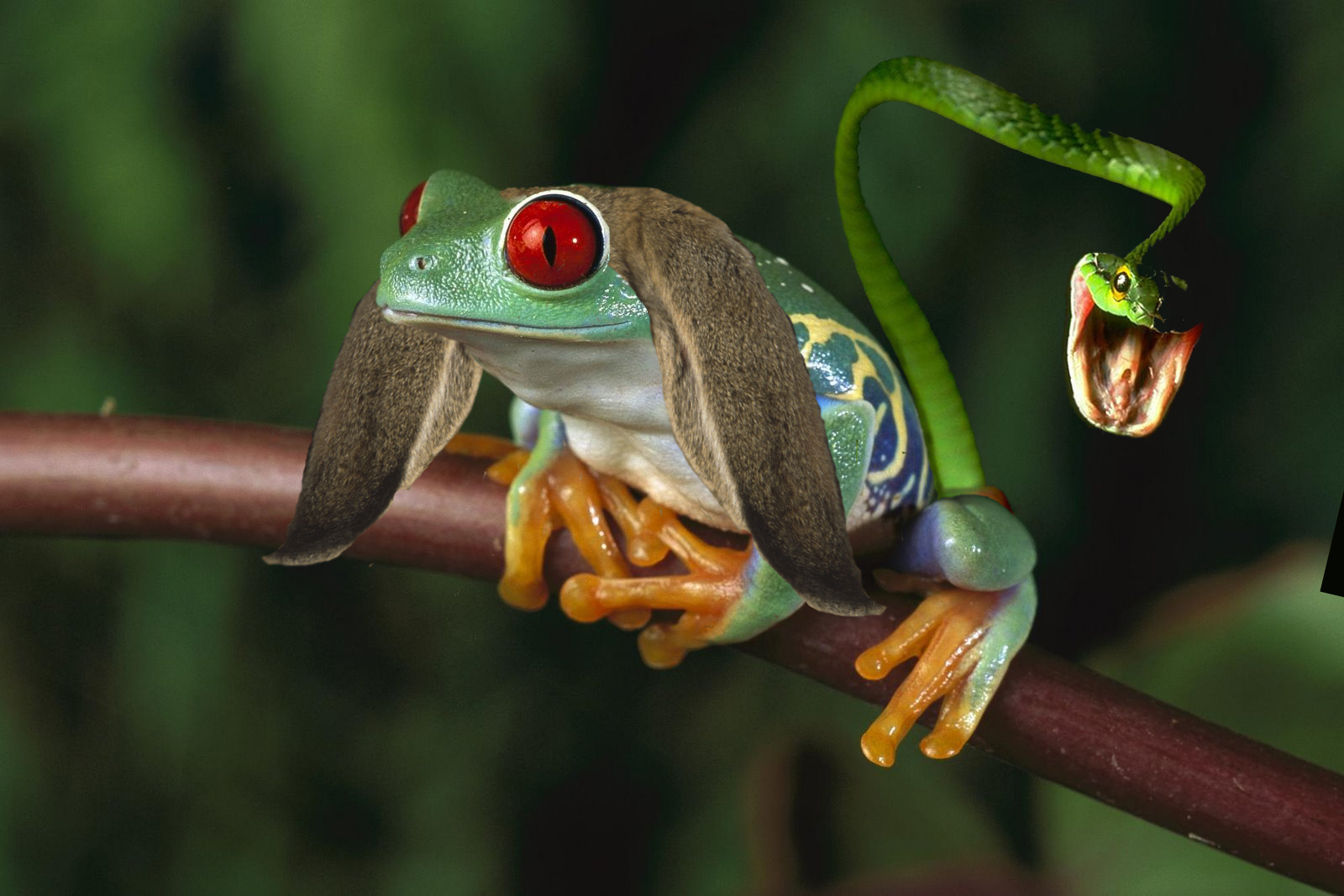 Photoshop Design by rayhyde for DesignCrowd (Community Contests) | Design #8942164