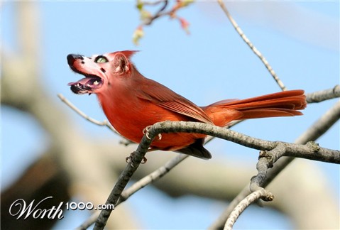 Photoshop Design by Ravinder420