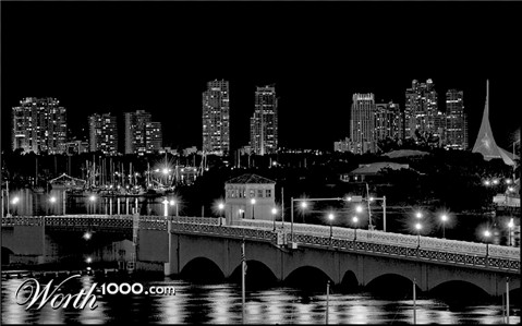 Photography by georgethedog