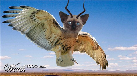 Photoshop Design by Titan360