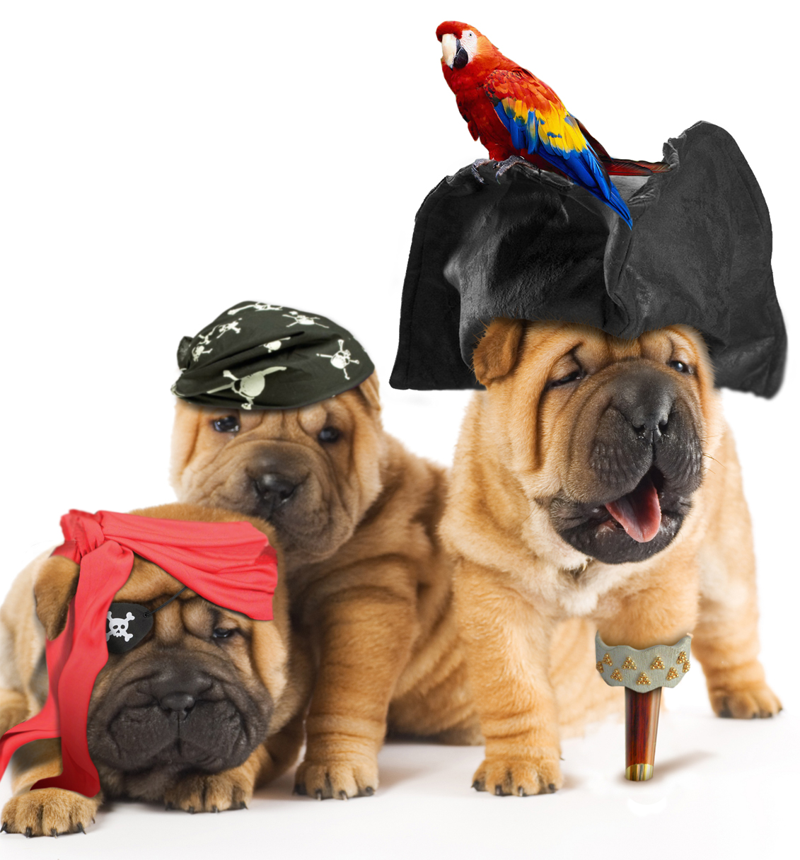 Photoshop Design by Junnoir for DesignCrowd (Community Contests) | Design #8940370