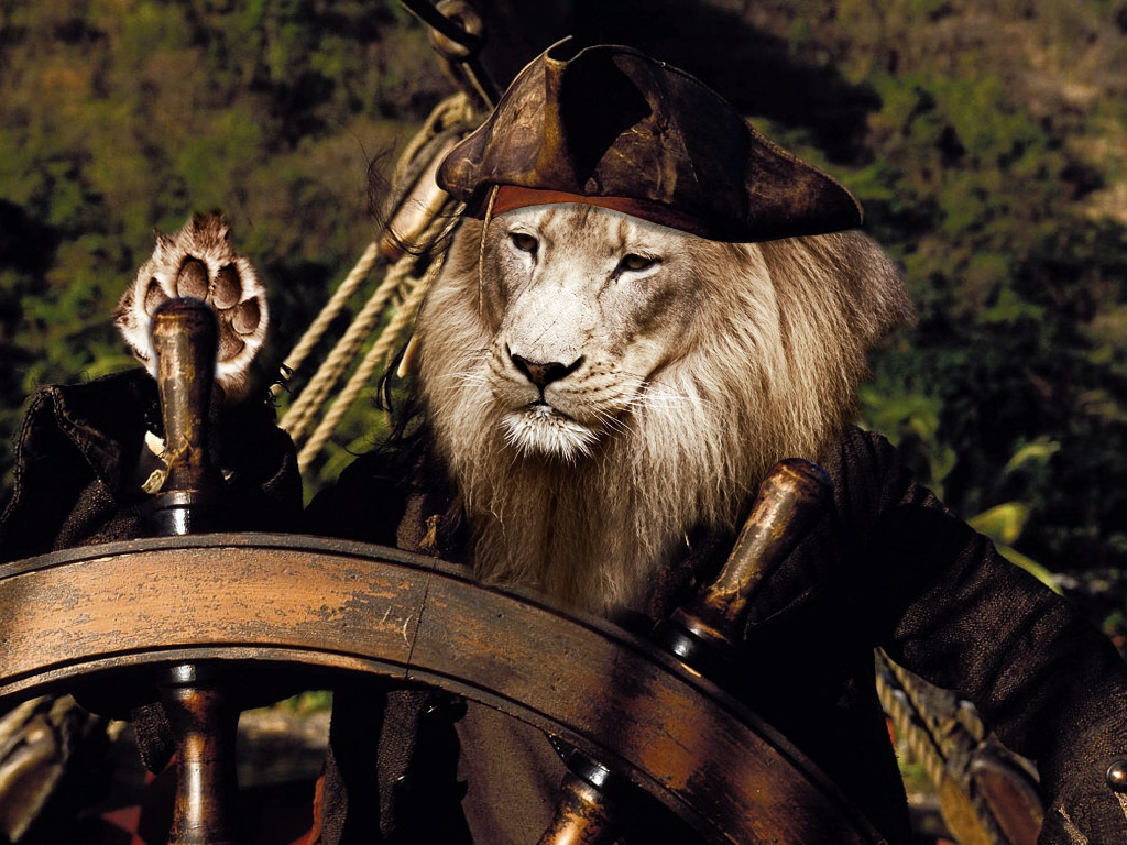 Photoshop Design by puzzleheaded for DesignCrowd (Community Contests) | Design #8940375