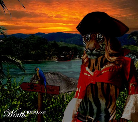 Photoshop Design by pmetzga