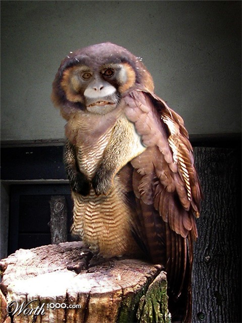 Photoshop Design by Troetti