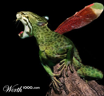 Photoshop Design by rmurrell2011